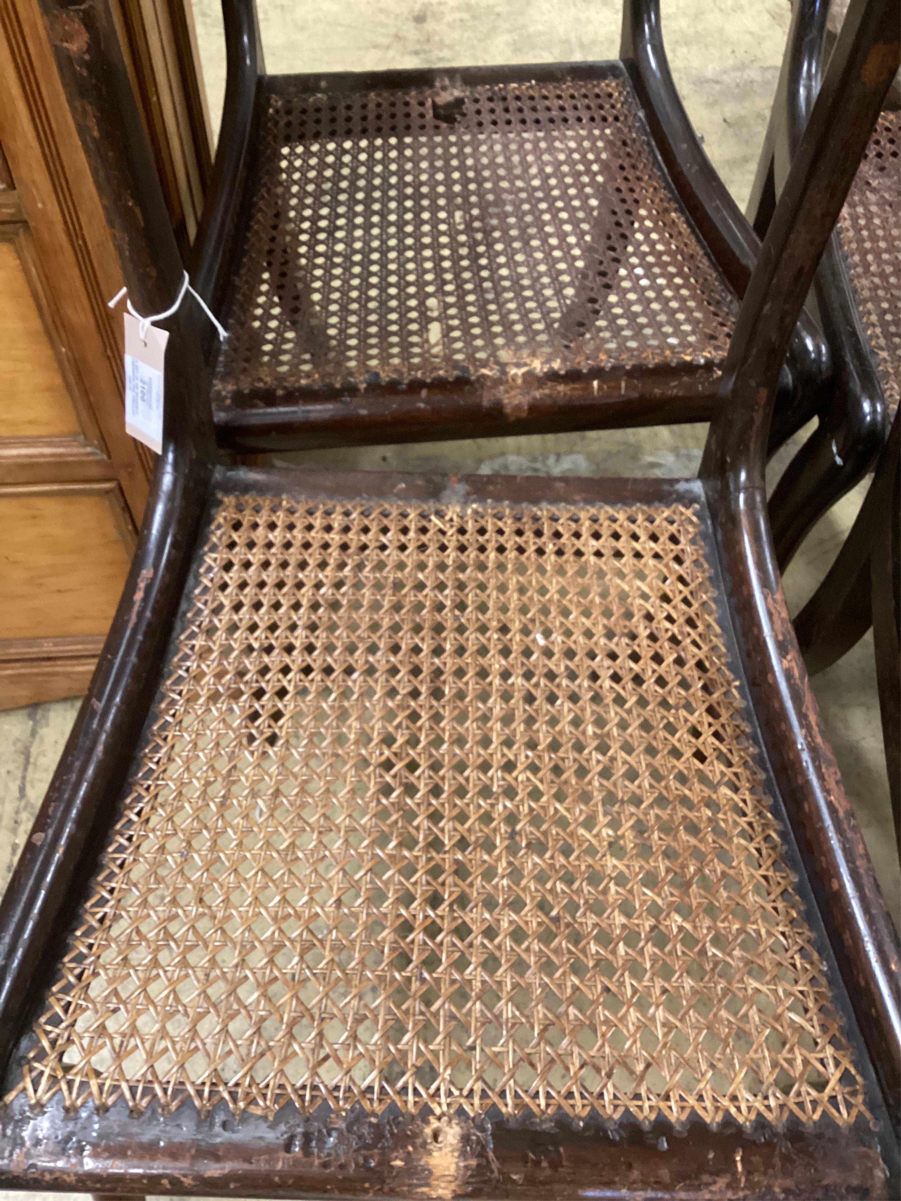 A set of six Regency rosewood and simulated rosewood dining chairs, the top rails inlaid with cut brass decoration, caned seats with slip-in cushions, on sabre legs